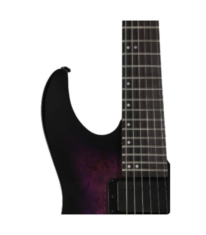 ESP - LTD M200DX Series Electric Guitar Burl Poplar Top Purple Burst Finish - Image 6
