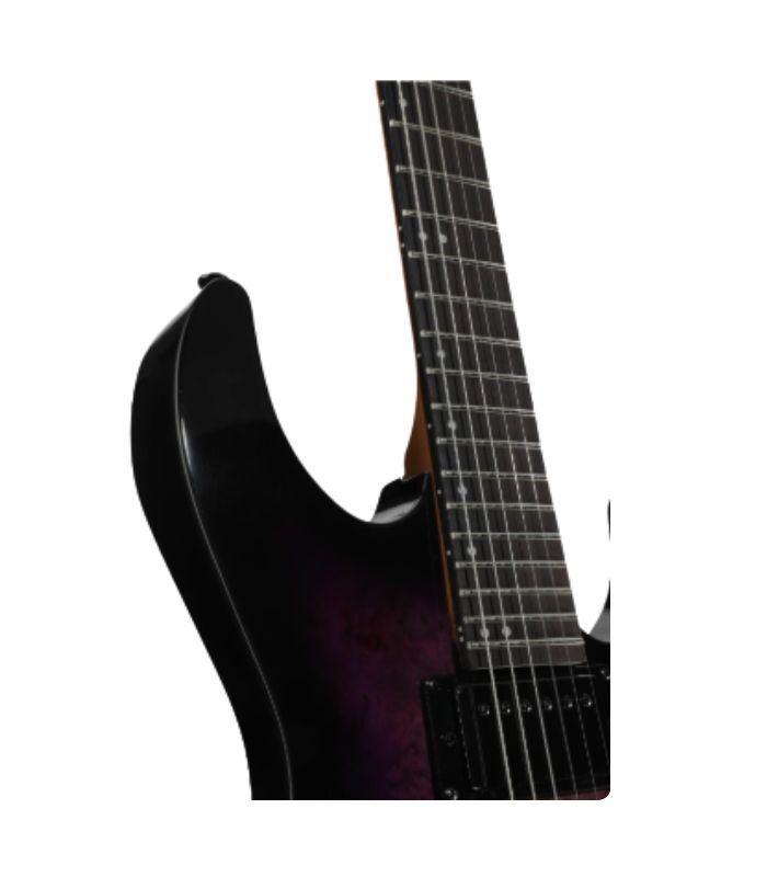 ESP - LTD M200DX Series Electric Guitar Burl Poplar Top Purple Burst Finish - Image 5
