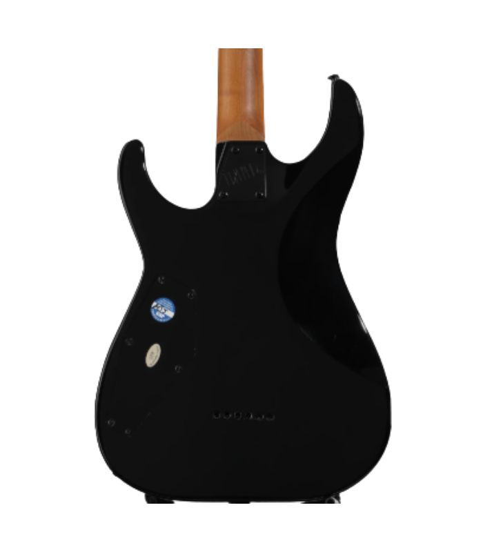 ESP - LTD M200DX Series Electric Guitar Burl Poplar Top Purple Burst Finish - Image 4