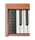 Donner - EC7464 Donner DHP-100 PRO Digital Piano Wood - Image 5
