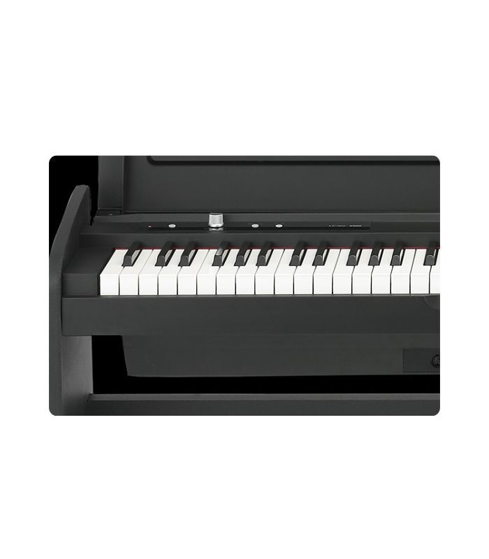 KORG - LP-180-BK Digital Piano - Image 4