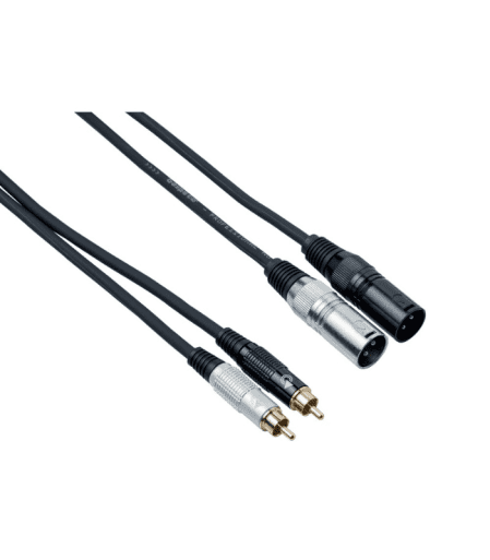 EAY2X2R300-1 Bespeco - EAY2X2R300 - 2RCA-M to 2XLR-M 3m - Audio Cable - Image 1